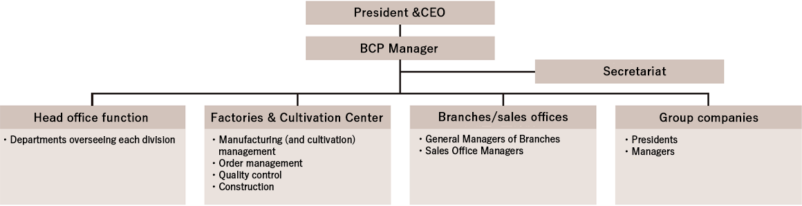 BCP Organizational Structure